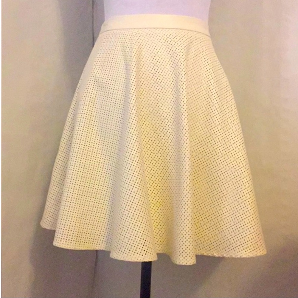 Sunday in Brooklyn Skater Skirt L